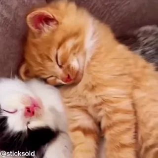 ❤️