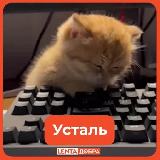 😮‍💨