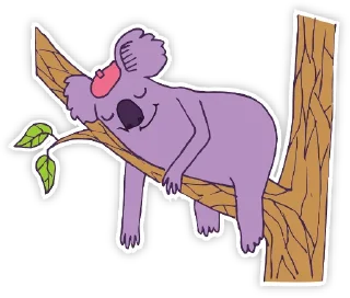 💤