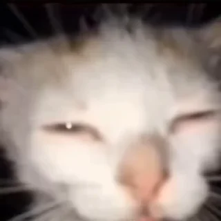 🥹