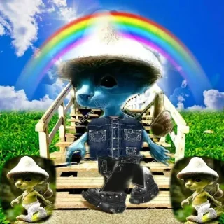 🌈