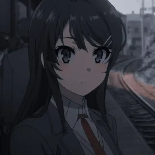 🐰