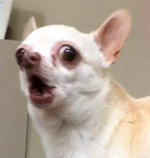 😲