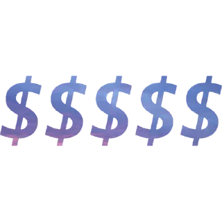💸