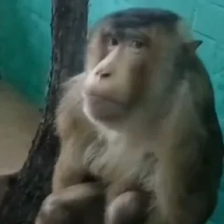 😐