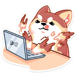 💻