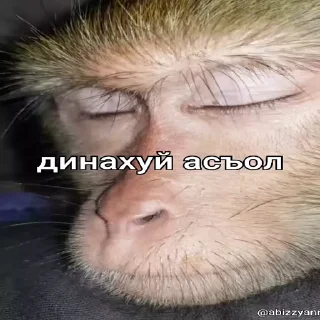 😴