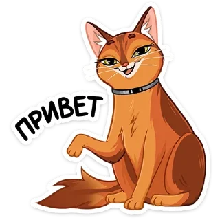Бенгал и Сомали от @TgSticker