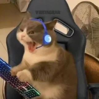 🤬