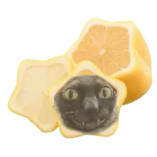 🍋