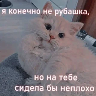 😏