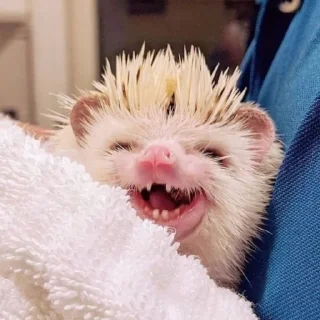 😆