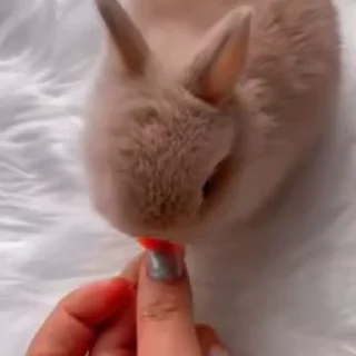 🥛
