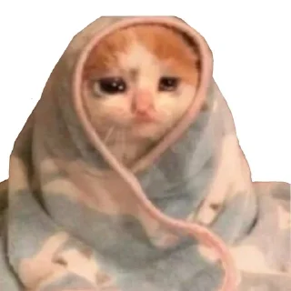 😥