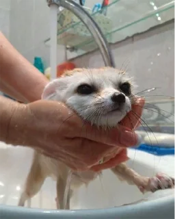 🛁