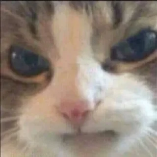 😡
