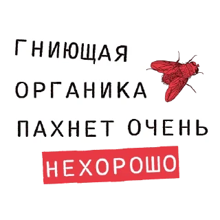 🦟