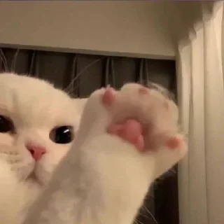 Стикеры ➡️ @Stick4Gram