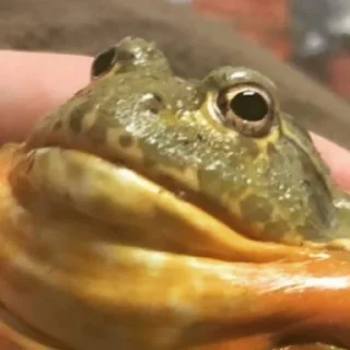 👀