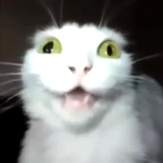 🙂‍↕️