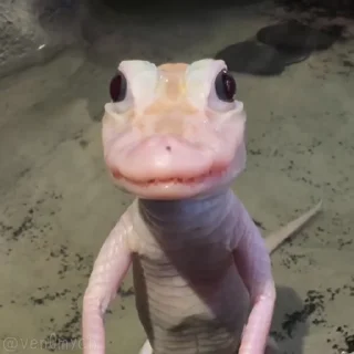 😳