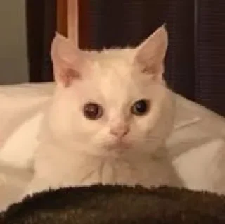 😐