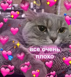 ☹️