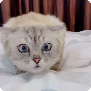 😱