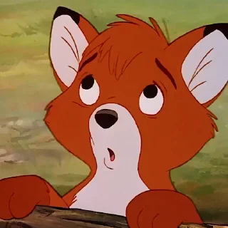 🦊