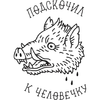 🐗