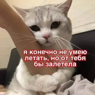 ✈️