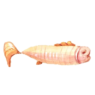 🐠