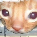 😳