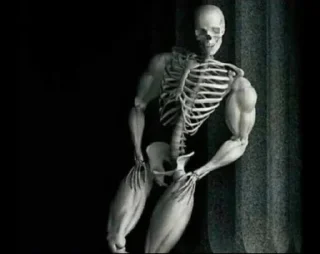 💀