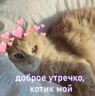 😴