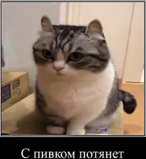 😒