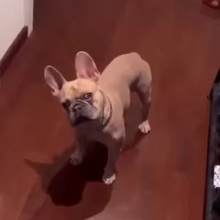 🤨