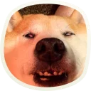 😠