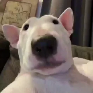 😉