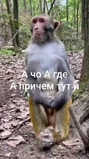 😒