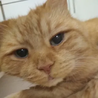 🙄