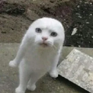 😐