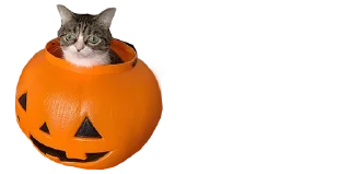 🎃