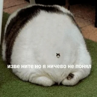 😒