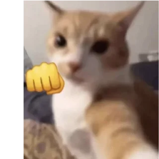👊