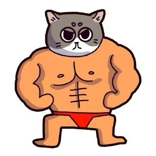 🐈