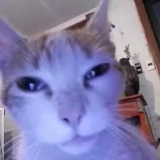 🤤