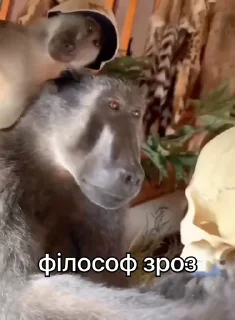 💀