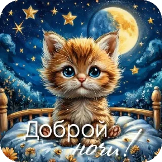 🐱