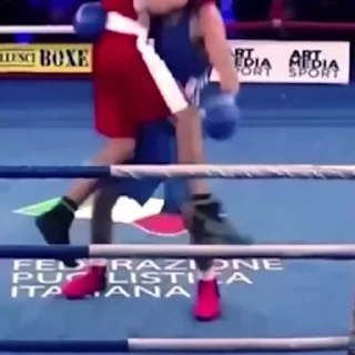 😎